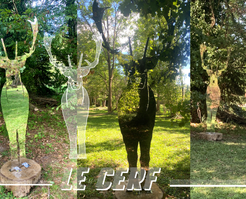 ANIMAL-FURTIF_2026