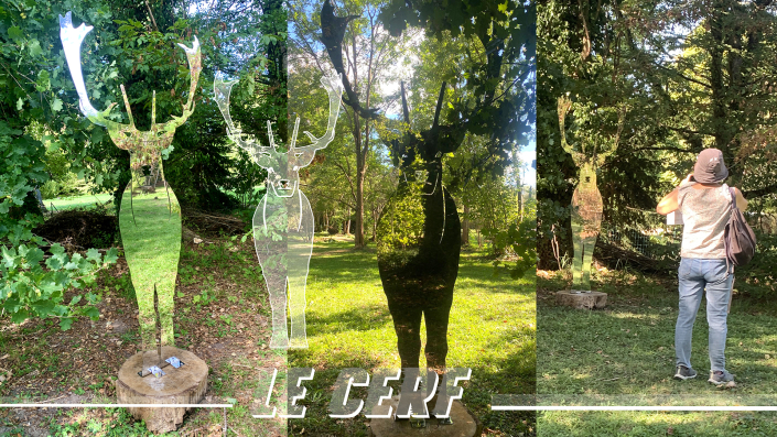 ANIMAL-FURTIF_2026_©OV_01 ANIMAL-FURTIF_2026