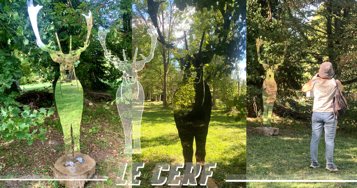 ANIMAL-FURTIF_2026